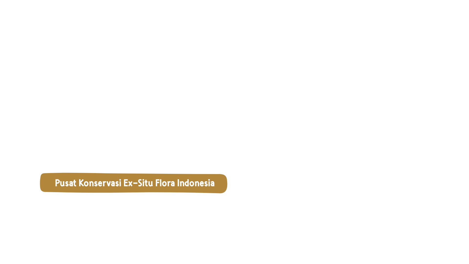 Pusat Konservasi Ex-Situ Flora Indonesia
